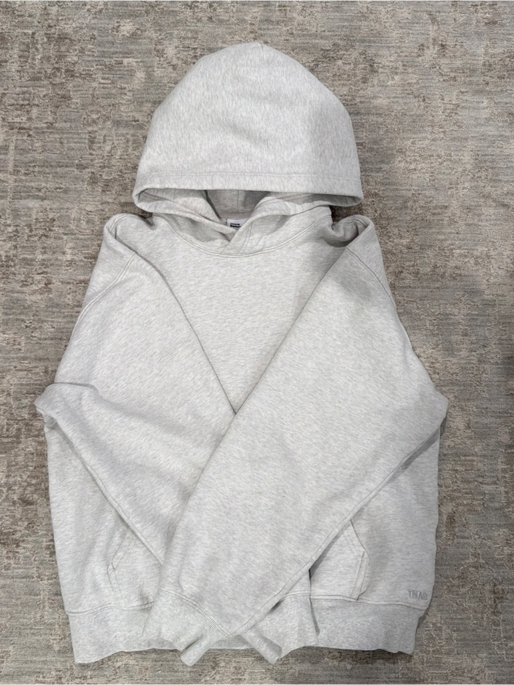 Aritzia light grey TNA hoodie